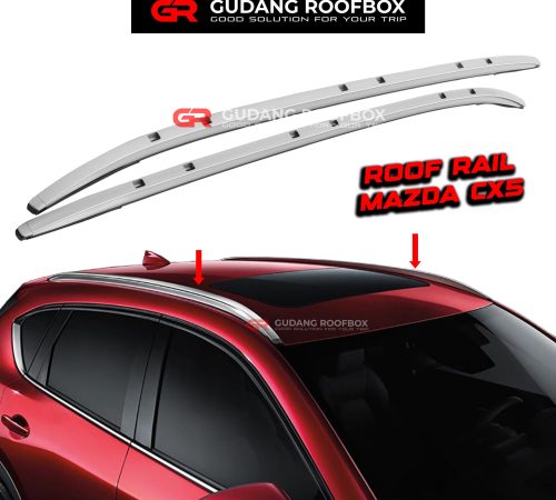 CRL5003-MZDCX 5SILVER (1)