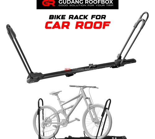RACK-BIKE
